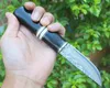 Ex-fabrikspris Överlevnad Straight Kniv VG10 Damaskus Stål Drop Point Blades Ebony + Horn + Brass Head Handtag Fasta bladknivar med lädermantel