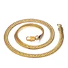 Colliers pour hommes Color Gold en acier inoxydable Longues chaînes Collier 2021 Couleurs Cadeaux de coul