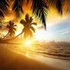 Stile del sud-est asiatico Bellissimo tramonto Spiaggia Natura Paesaggio Foto Carta da parati Carta da parati Carta da parati per hotel a tema per sala da pranzo