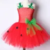 Baby Mädchen Tutu Kleid Erdbeere Prinzessin Kleider für Kinder Mädchen Geburtstag Kostüm Wassermelone Halloween Weihnachten Kostüme Kleinkind 220314