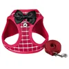 Kleine Hond Kattenbanden Leads Borstriem Dogs Katten Touw Sets Persoonlijkheid Chest Rack Reas