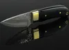 Promotion 5.6 Inch Damascus Fixed Blade Straight Knife VG10-Damascus Steel Blade Resin+Brass Handle EDC Knives With Leather Sheath