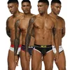 Male Briefs Sexy Gay Hommes Sous-Vêtements Coton ropa Men s Brief Cueca Respirant U Pouch Panties hombre Hot LJ201110