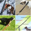 Truelove Buffer Bungee Dog Leash for Outdoor Todo