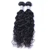 Capelli umani cambogiani 2 pezzi / lotto Water Wave Bundles Doppia trama Wet and Wavy Remy Hair Weave