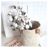 Plantas de algodão naturalmente secas Filial floral para decoração festa de casamento flores falsas casa decoração artificial em casa 201222