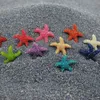 Decorazioni 5/10/20 pz Mini Resina Carino Multicolor In Miniatura Sea Star Serbatoio Acquario Ornamenti Decor Decorazione Della Casa Accessori Modern1