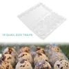 50pcs 121518 Grids Quail Egg Carton Storage Container Organizer Disposable Pvc Storage Box Transparent Egg Dispenser Holder U3 C9671415