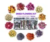 Dried Flowers 12 Pack Natural Dried Flower Kit for Resin Jewelry, Soap Making, Bath Bombs, Candle Making, Includes Rosebud, Lavender Buds...