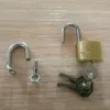 Kuisheidsapparaten Pa Lock Eikel Piercing Mannelijke Ring Kuisheidsgordel Penis Harnas Terughoudendheid Riemen Fitting Punctie Bdsm Voor Mannelijke