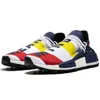 Human Race Hu trail Running Shoes Pharrell Williams Triple White Red Blue Nerd Black Solar Pack Sun Glow Womens Trainers Sports Tennis