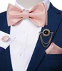 Pink Plaid Solid Men's Self Tie Bow Tie Silk Jacquard Woven Wedding Party Bowtie Hanky ​​Brosch Set Men Butterfly Slitte Dibangu Y1229