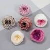 Prezenty dla kobiet 4-5 cm wieczne głowice kwiatowe 8pcs wieczne kwiat Austin Rose Rose Dift Box