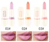 Romantische Schönheit Rosa Matte Lippenstift Feuchtigkeitsspendende Lip Blam Wasserdicht Make-Up Lippenstift Flüssigkeit Langlebig Lip Kosmetik TSLM2