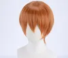 Anime Love Live! Rin Hoshizora Wig Lolita Harajuku Short Hair Wig Cosplay