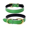 Gold Pin Buckle Dog Collar Liing Leashes verstelbare mode lederen honden kragen nek huisdier benodigdheden accessoires