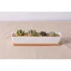 Moderne Simple Blanc Céramique Plantes Succulentes Planteur Avec BambooTray Plante Verte Pots Décor De Bureau Bonsaï Paysage Pot De Fleurs Y200723