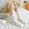 Chaussettes Bonneterie Fuzzy Cartoon Vison Fruit Lady Mignon Hiver Bonbons Kawaii Plus Épais Velours Casual Femmes Moelleux Chaud Court Terry Cott267R