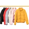 8 kleuren Oversized Bubble Jacket Dames Winter Puffer Coat Stand Collar Mint Green Thicken Parka Dames