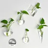 2 pcs Creative Suspendus Pot De Fleur En Verre Boule Vase Terrarium Mur Fish Tank Aquarium Conteneur Maison Jardin Décor Y200709