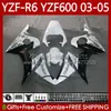 Motorrad-Karosserie für Yamaha YZF600 YZF R 6 600 CC YZF-R6 2003 2004 2005 Verkleidung 95Nr