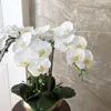 1 Zestaw wysokiej jakości orchidee aranżacja lateksowy silikon prawdziwy dotyk duży rozmiar luksusowy stół kwiat Home Hotel Decor No wazon 201222