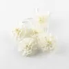 Fleur Sola avec corde pour diffuseur de parfum entier 100pcs / lot Simulation de plante pour diffuseur de roseaux Désodorisant T200509302E