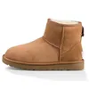 Novas mulheres botas de neve moda inverno bota clássico mini tornozelo senhoras curtas meninas booties femininas triplo preto castanheiro azul marinho boties