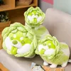 Cabbage Shiba Inu Dog Cute Vegetable Fairy Anime Plush Toy Fluffy Stuffed Plant Soft Doll Kawaii Pillow Baby Kids Toys Gift Z220314