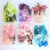 Julferie Bankett DIY Konserverad blomma Material Pack Hortensia Kanin Torkad Blommor Fläkt Aromaterapi Flytande blomma Kombination Förpackning 5st CX0214