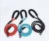 Hondenriem voor grote dieren leibanden huisdieren nylon lead touw lange touwen riem honden outdoor walking training