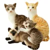 Brinquedos de pelúcia de gato siamês realistas, animais de pelúcia simulação, bonecos de pelúcia de gato de pelo curto americano para crianças, decoração de brinquedos para animais de estimação 220217