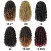 Lativ Synthetic Synthetic Curly Pony Ponytail Couchet Ponytails for Black Womeclips on Hair Extension 2102179215958