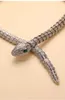 Designer pingente colares de cobra gola micro conjunto de diamante banhado a ouro fivela magnética cadeia de senhoras