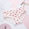 High Quality Cute Girl Briefs 5pcs Teenage Bowknot Underpants Young Girl Briefs Comfortable Cotton Panties Kids Underwear 670 Y0128531837