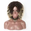 Afro crépus bouclés synthétique brun perruque Simulation cheveux humains Perruques de cheveux humains pelucas perruques pour les femmes noires JS5881