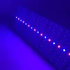 Luci progressive a LED DC12V 5050 SMD 60LEDs 1M LED Bar Striscia rigida rosso blu per acquario Serra pianta idroponica