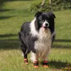 Hondenschoenen Waterdichte buitensportschoenen voor kleine medium grote s professionele wandel anti slip huisdier LJ200923