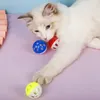 الحيوانات الأليفة اللعب الجوف البلاستيك القط لعبة الكرة الملونة مع جرس صغير محبوب صوت التفاعلية جرو اللعب