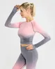 Venda quente Seamless Mulheres Set Yoga Workout Sportswear baratos Roupa Gym Fitness manga comprida de culturas Suits Top cintura alta Leggings Esportes