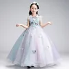 Kids formal wear 1 pcs a lot children dress the ball gown piano costumes of the girls Children's birthday princess dress flower girls' dress