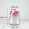 European Style Gradient Glass Display Vase Living Room Creative Simple Hydroponic Flower Gift Home Decoration Ornaments