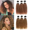 Honungbrunt hårväv kinky lockigt mänskligt hårbuntar brasiliansk jungfru hår wefts färg 1b276081052