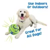 Dog Toy Fun Giggle Sounds Ball Pet Cat Dog Toys Silicon Jumping Interactive Toy Training Ball For Small Large Dogs LJ201028