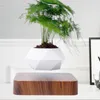 Flor de suspensão magnética Levitating Ar Bonsai Pot Plant Plant Suculent Patio Decoração Flor de Desktop / Verde C0125