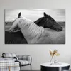 Animal Art noir et blanc chevaux toile peinture mur Art photos pour salon moderne abstrait Art imprime affiche décor à la maison