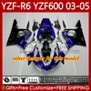 Kit carrosserie pour YAMAHA YZF-R6 YZF600 YZF R6 600CC 2003-2005 Vert blanc Capot 95No.210 YZF R 6 YZFR6 03 04 05 Carrosserie YZF-600 600 CC 2003 2004 2005 Carénage de moto