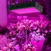 Hot Sale 2000W 200 * 10W Full Spectrum 3030 Lampa Pärla Växtlampa Enkelt kontroll Top-Grade Material Grow Lights Black