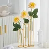 Glas vase hydroponic hem dekoration tillbehör blomma vaser glas växthållare blomma arrangemang metall vaser bröllop dekor 220210