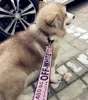 Psi kołnierzyk smyczy klatka piersiowa grzbiet plecak mody Schnauder regulowany kołnierz zwierzaka Pet Smycz harness psie zaopatrzenia
